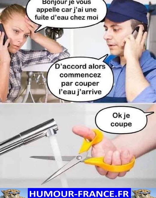 text alternatif