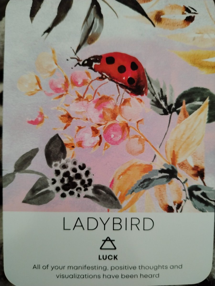 didsastrotarot's tweet image. #oracleoftheday 💫