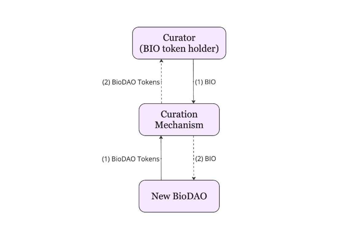 What can you do with your $BIO?

Back world-class scientists from day one.

BIO’s new launchpad (pending governance) will allow you to stake your BIO to new BioDAOs to get whitelisted in their initial funding round.

Staked BIO is then locked as liquidity in a BIO/BioDAO pool.