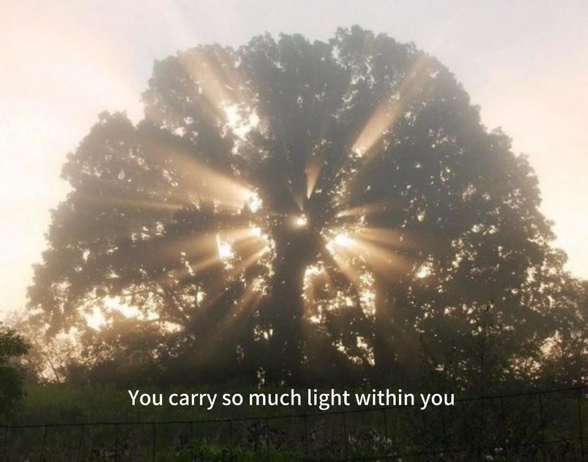 thematrixwizard's tweet photo. https://t.co/4uSRMaJLLv