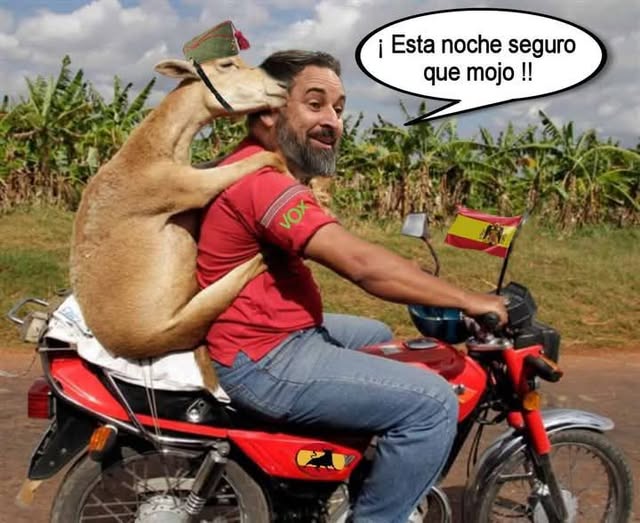 WitoWitowito71's tweet image. #fachascal😂😂😂