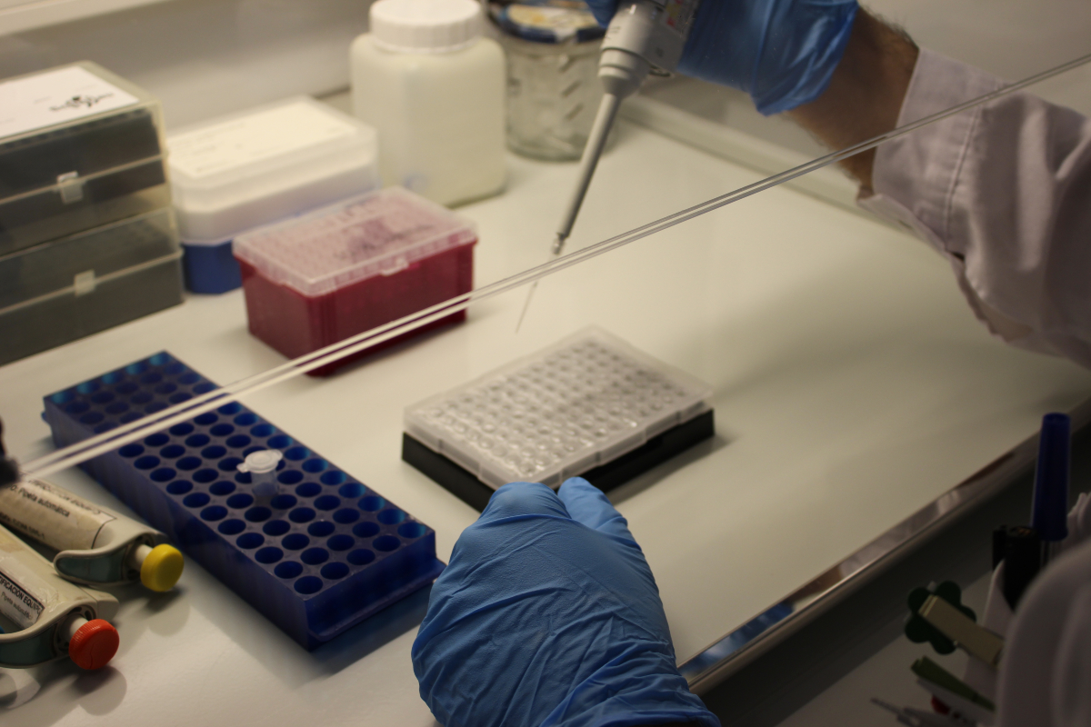 GlobalOmnium's tweet photo. ✨¡Os presentamos un nuevo proyecto de Innovación: #GUADCARE! ✨
Nuestro laboratorio #GAMASER obtiene la concesión de un nuevo proyecto de investigación centrado en salud pública y la vigilancia epidemiológica a través del análisis de contaminantes emergentes en aguas residuales https://t.co/W5qKqvP0qE
