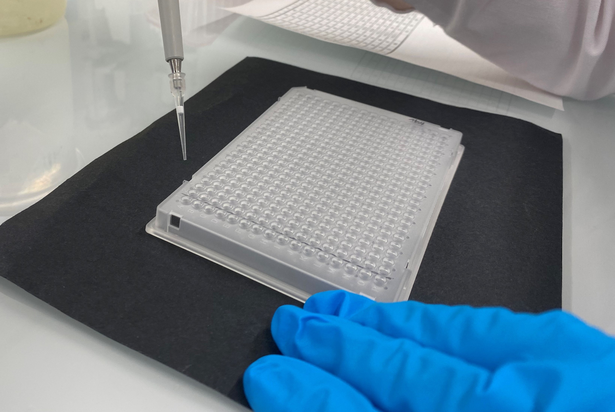 GlobalOmnium's tweet photo. ✨¡Os presentamos un nuevo proyecto de Innovación: #GUADCARE! ✨
Nuestro laboratorio #GAMASER obtiene la concesión de un nuevo proyecto de investigación centrado en salud pública y la vigilancia epidemiológica a través del análisis de contaminantes emergentes en aguas residuales https://t.co/W5qKqvP0qE