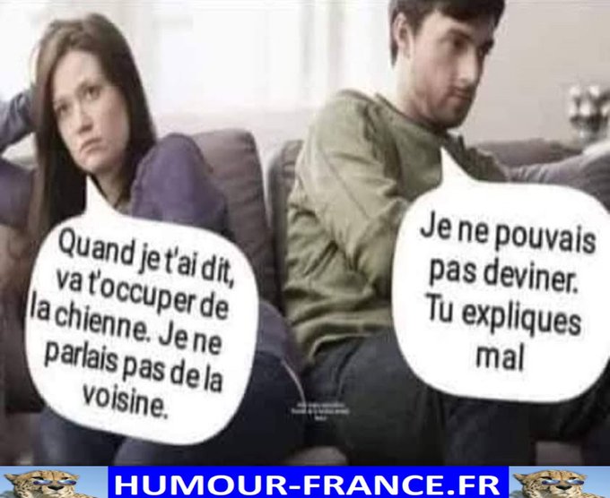 text alternatif