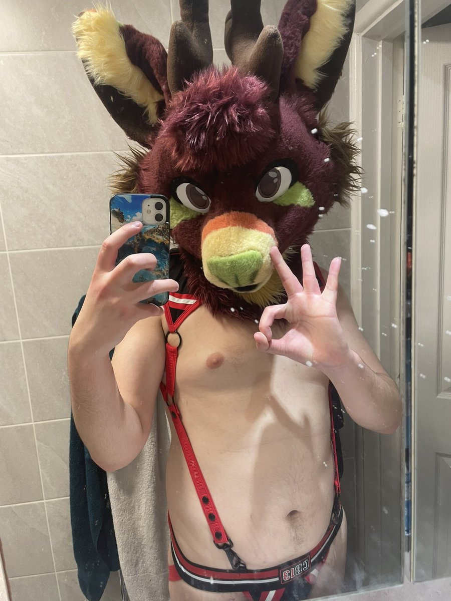 Heres some hole pics taken by a good friend at a New Years party. Great way to start off the year 🥳!

#furry #fursuit #ass