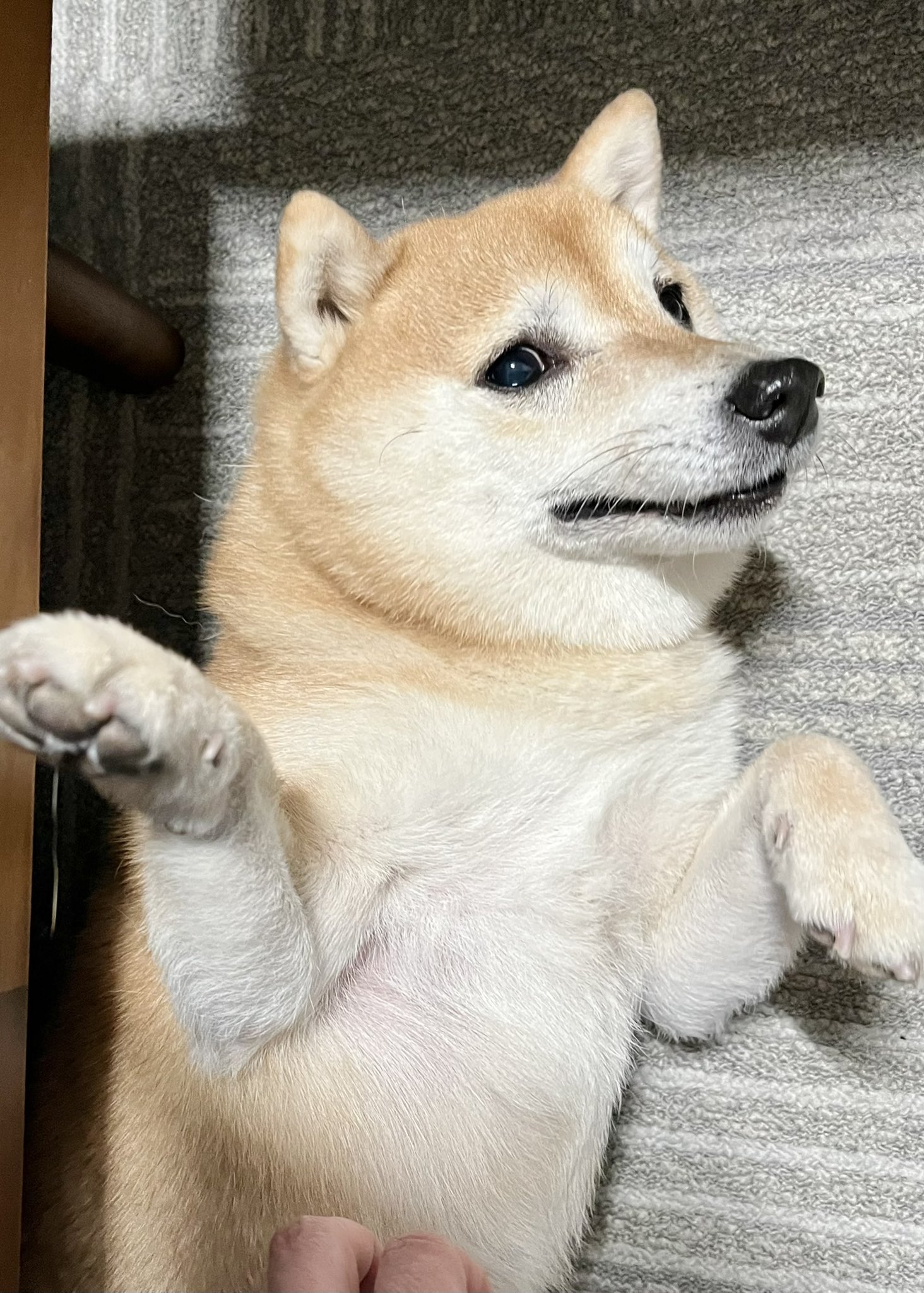 おはようございます❣️可愛いですねぇ