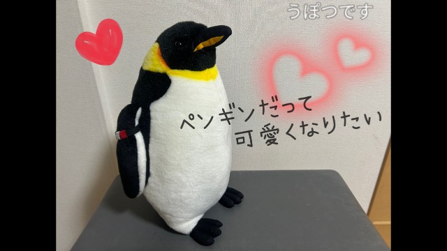 tarucolle's tweet photo. 🪩たるコレ2024春 エントリー作品🪩

『たるコレ2024Final』投票対象作品です

(投稿期間2024.12.28-2025.1.11)

#たるコレ2024Final

”ペンギンだって”可愛くなりたい  踊ってみた【たるコレ2024Final】
https://t.co/2T2mTke0gN

#sm44527663
#ニコニコ動画 https://t.co/VzopmGy0cL