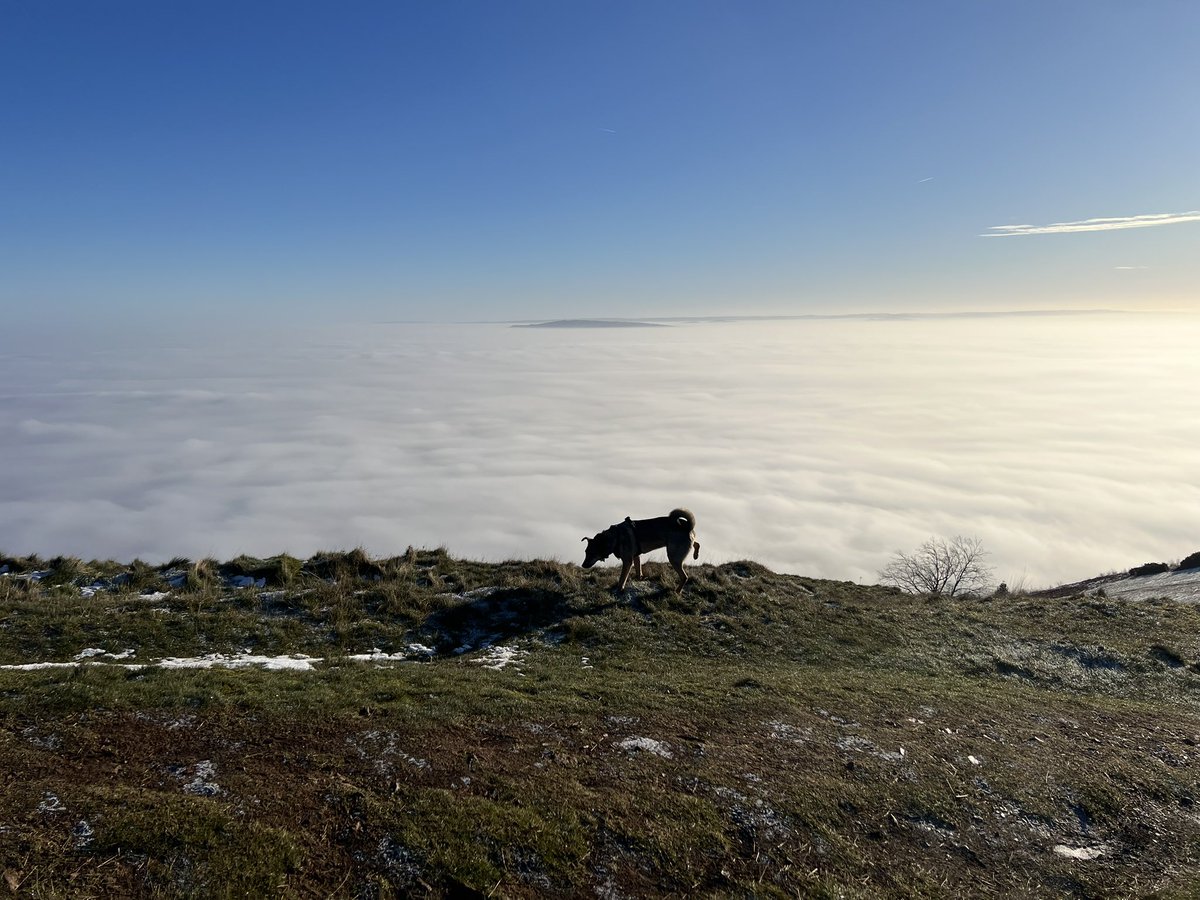 JosieAllan4's tweet photo. The misty ancient hill
gods spoke, this morning! ❄️
They were here at the beginning and will be here long after.
Zeb and I just kept our heads down.
#magichills #magicskies #rescue https://t.co/SBatAu5i0S