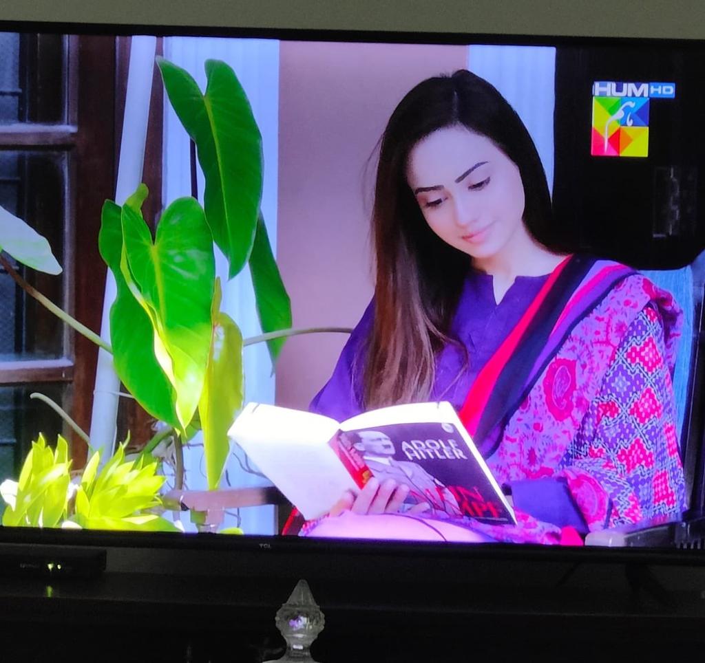 Meanwhile Pakistan TV