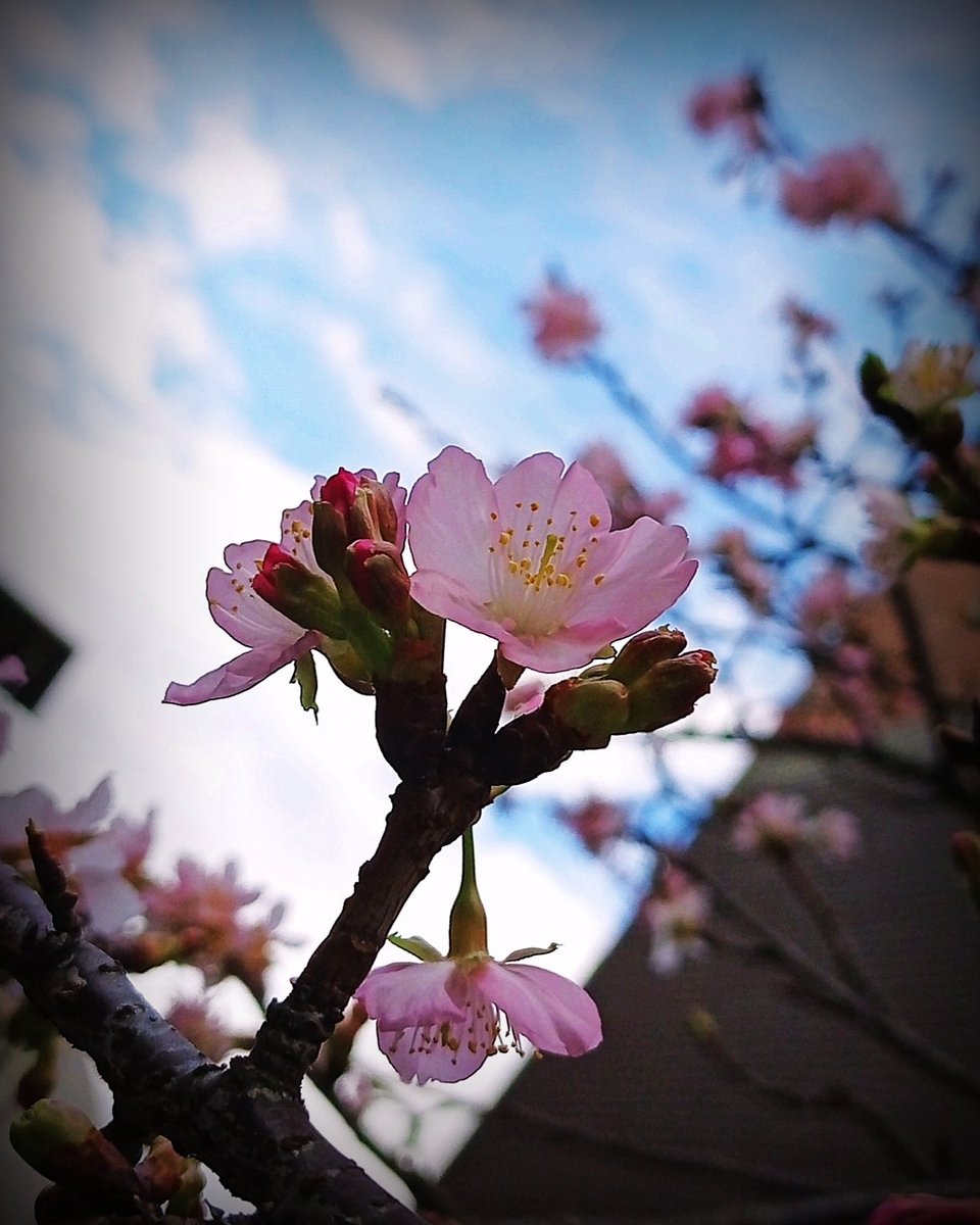 WonDerOuYang's tweet photo. https://t.co/6d6ByQIIbE