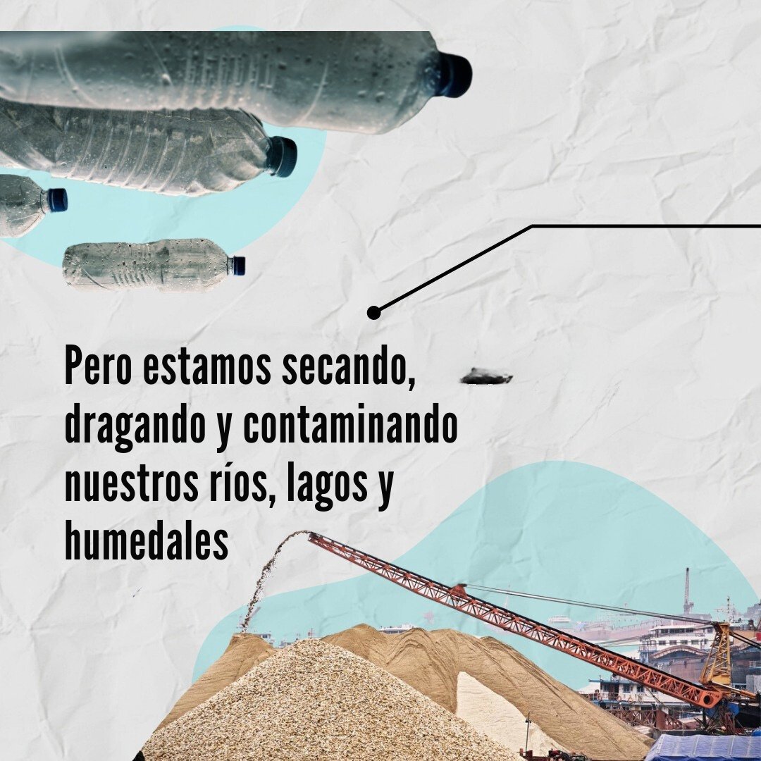 WWFespana's tweet photo. Un nuevo estudio revela que 1/4 de las especies de fauna de agua dulce están amenazadas 🐟🦀

📄 Principales amenazas:
→ Contaminación
→ Represas y extracción de agua
→ Agricultura e invasoras

La conservación terrestre no es suficiente para proteger los ecosistemas de agua dulce 🌿
Estudio: https://t.co/xHzKp6OZar