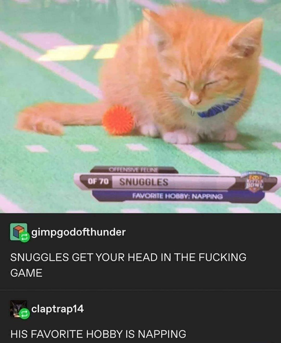 PunchingCat's tweet photo. https://t.co/GRsg5KdmhS