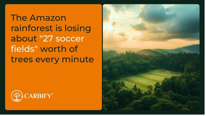 sproutlyrwa's tweet photo. They said we’re degens.
We said we’re saving the Amazon 🌳💎 https://t.co/G6b9jxxsK8