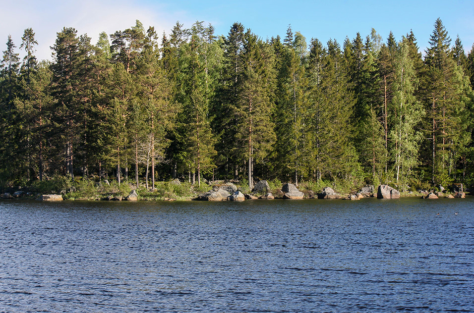 GM ☀️Everyone
Life is Great
Happy Saturday