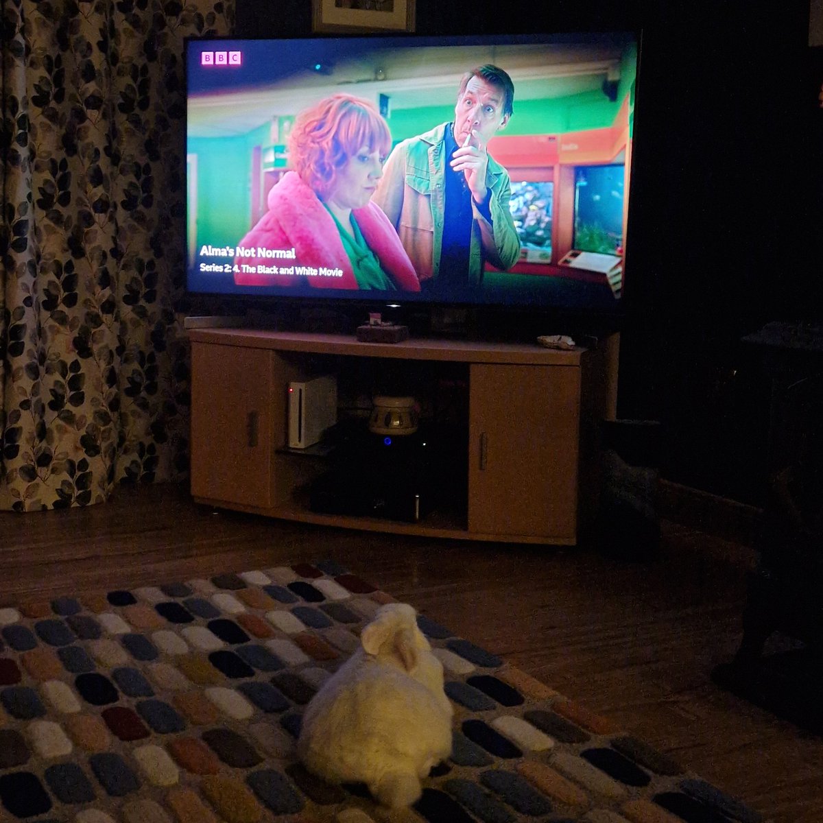 jlcplnd's tweet photo. Difficult to express how much I love Alma's Not Normal. The wit, the observations, the harsh truths, the characters. ❤️💔
Pet bunny equally engrossed 😍🐰📺
@BBCiPlayer
@bbcpress https://t.co/nlNZmVjJ99