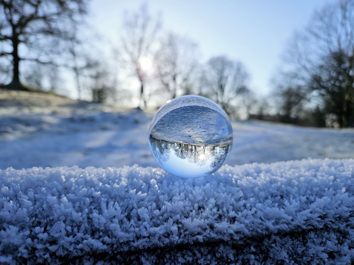 Winter sun shining through the trees on a very frosty day #Levenspark #Cumbria #photograghy #nature #frosty #weather #lensball