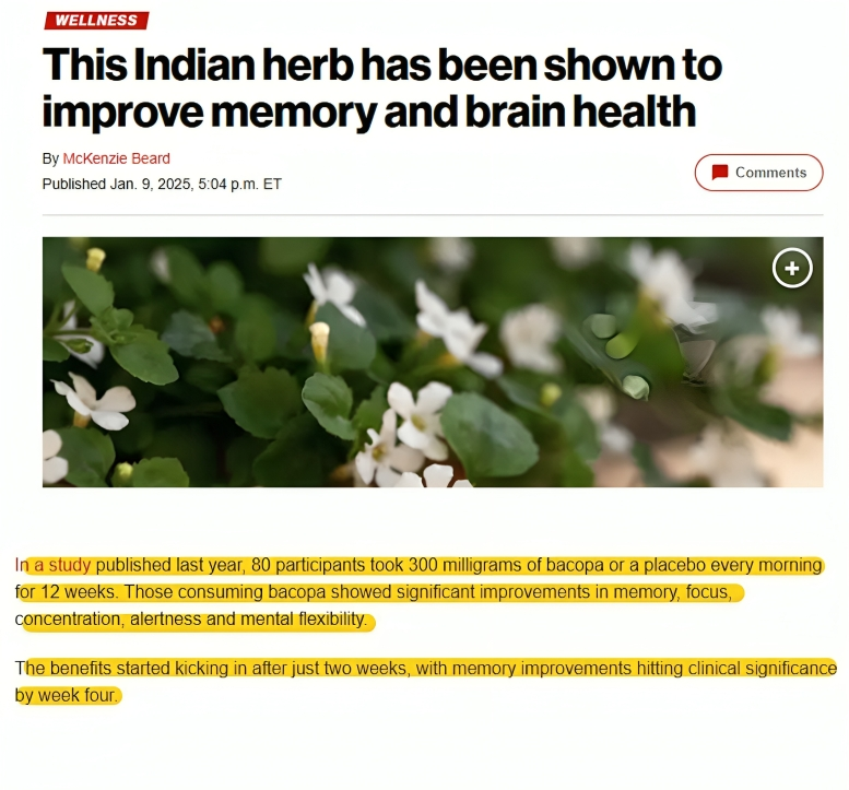 Samriddh_Nutra's tweet photo. In a recent article by the New York Post, highlighting its profound impact on memory and cognitive health. The article references B-Lit Bacopa clinical study. Article Link: https://t.co/rmLfXeHcUF
Reach out @: Bd@samriddhnutra.com
#BLitBacopa #Nutraceuticals #SamriddhNutractive https://t.co/HuHMVYNy6U