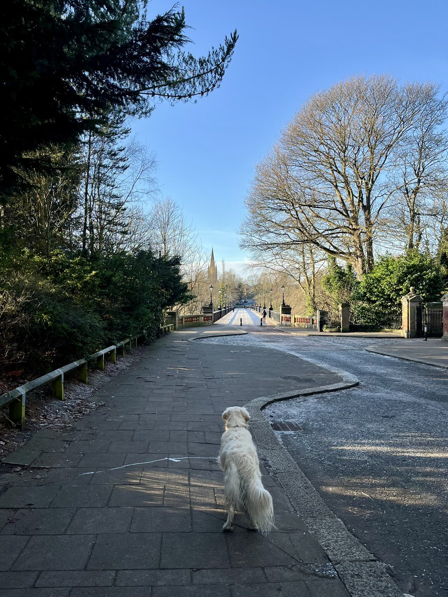 Inner city Newcastle #thistown