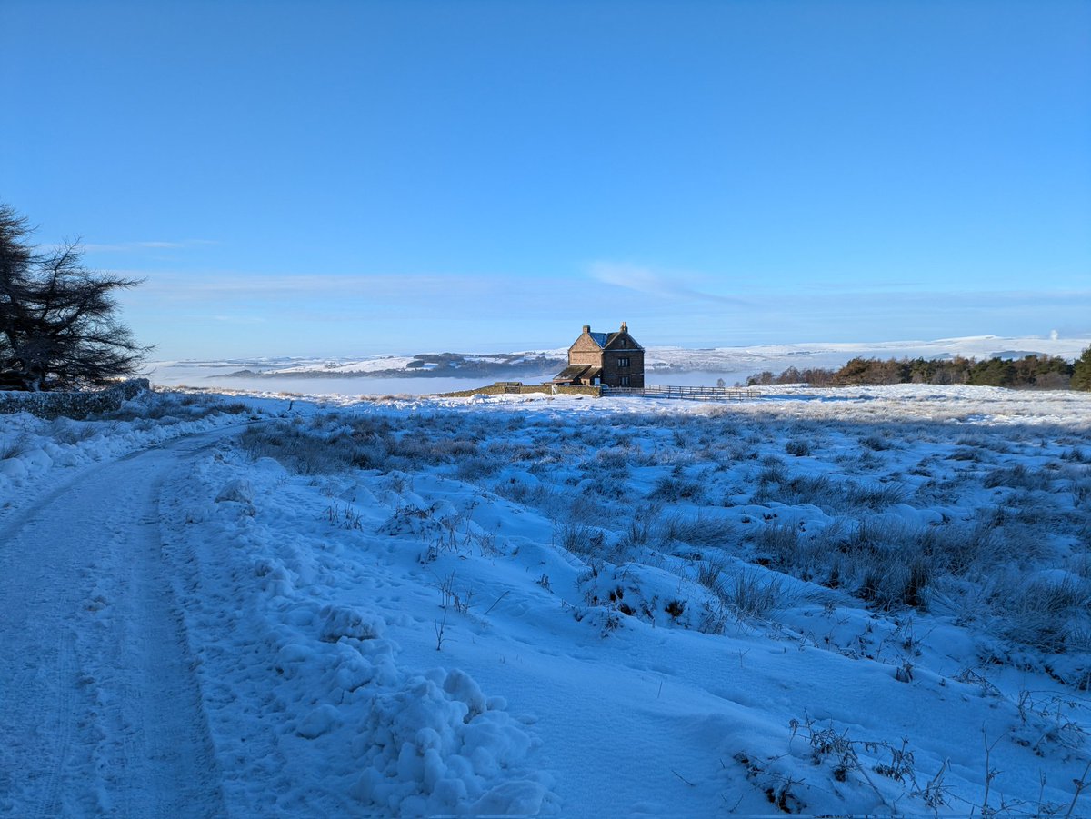 Andy Clay tweet media