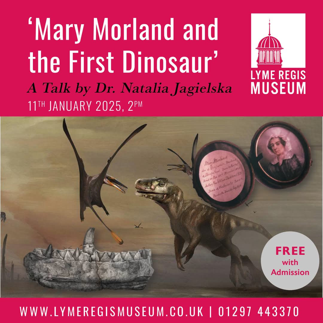 Delivering a lecture today, on women pioneers in palaeoart 😍Mary Anning wasn't alone in her endeavours 🦕