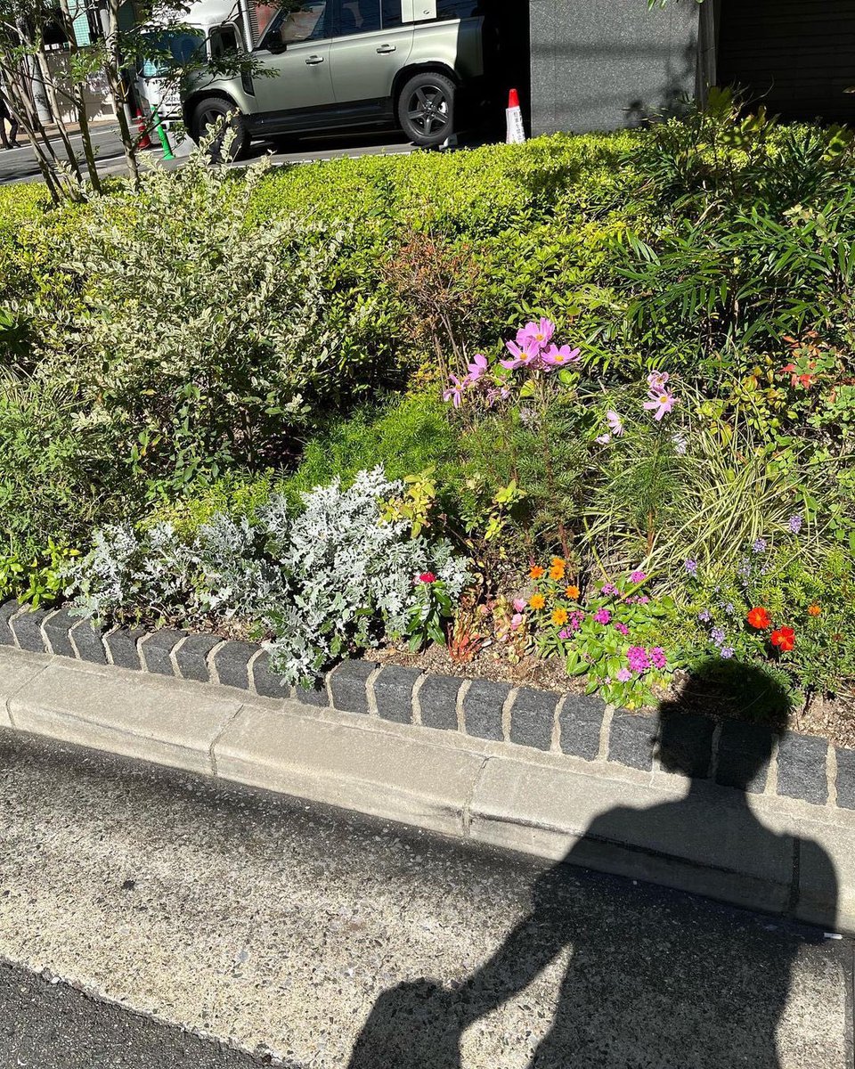 여름에후쿠오카다녀온김호그리워짐