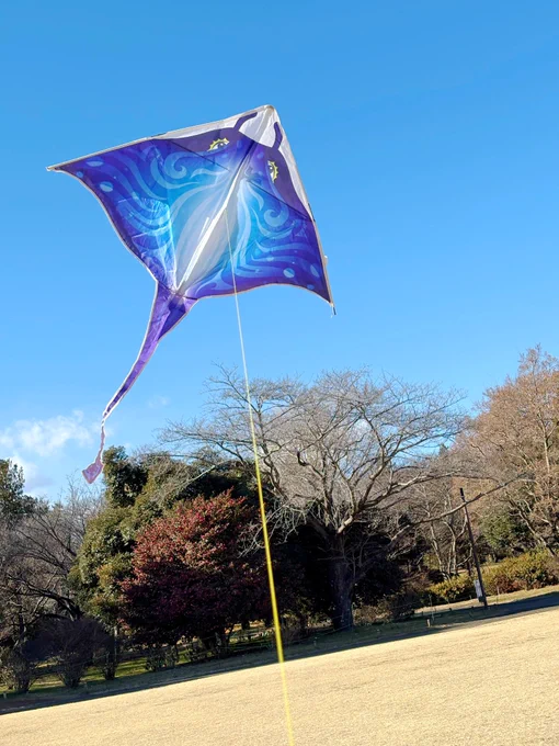 毎年恒例になりつつある凧揚げ会〜!!天気にも恵まれ、チビちゃんと走り回ってきたよ!ピクニック日和だった。 