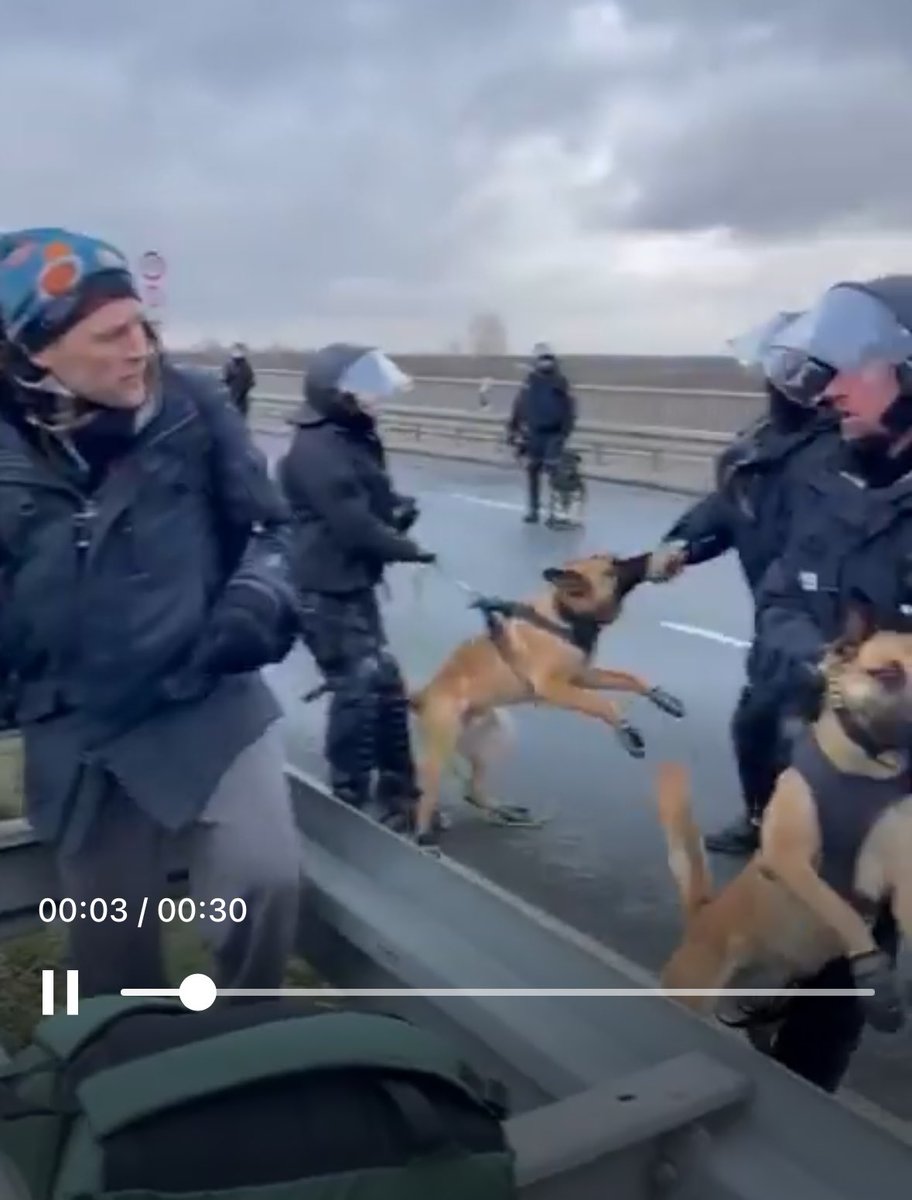OckhamsC's tweet photo. @PetraViolet …aber nicht alle Hunde lassen sich von der #Pegizei Sachsen misshandeln (aus dem Video, im Hintergrund). #rie1101 #riesa1101 https://t.co/qi2Ah3nwCB
