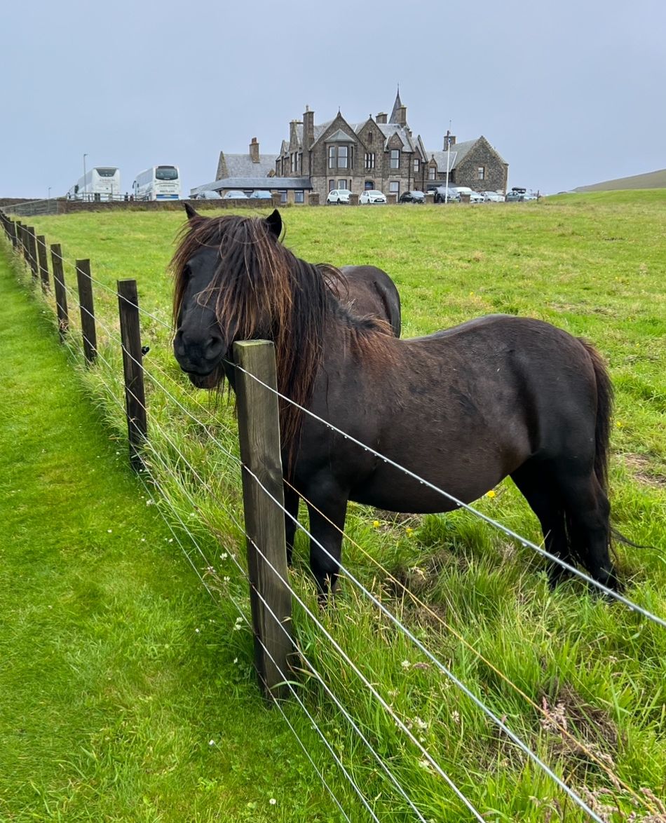 PromoteShetland's tweet photo. What makes Shetland, Shetland? A visitor arriving in Shetland for the first time soon realises that this is a distinctive place. 

But what creates that sense of difference? What’s Shetland’s particular identity? Not easy questions, but our blog tells all: https://t.co/3AGoeSImyg https://t.co/QdLqKNmZni