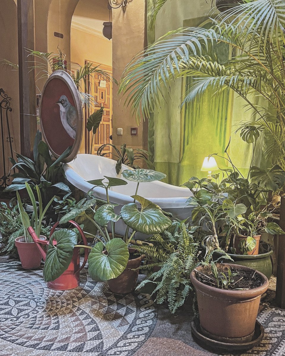 WeAreLifeTravel's tweet photo. If we ever have a party in the house, we don't need to worry about accommodating guests. On the same road as our our #townhouse, is a really quirky &amp; interesting #boutique B&amp;B, Casa Henrietta, if we need places for people to stay...
https://t.co/rRSNiU8hgz
#jimenadelafrontera https://t.co/81GPLjfFAW