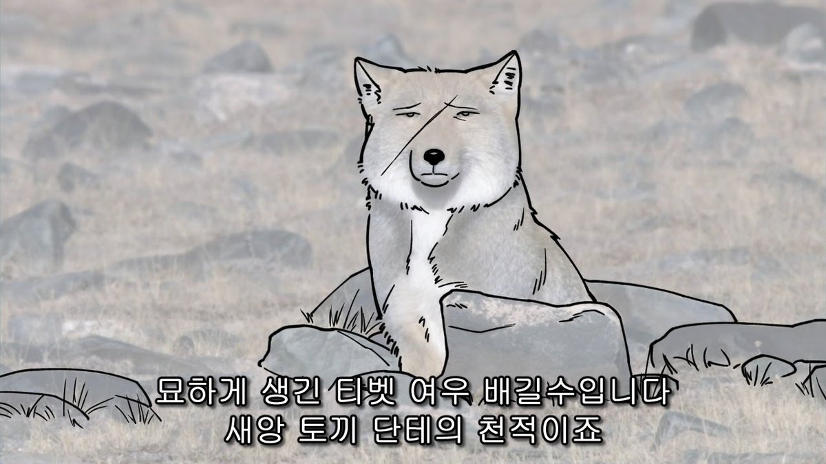 길수 자꾸 흉악한 동물 모에화 하는 단테 망상했다가
길수 안 귀여워서(ㅋㅋ) 이런 거나 생각남