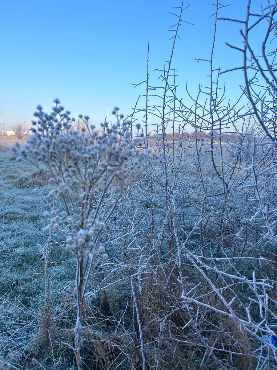 RunQueensPark's tweet photo. Well done everyone who braved ❄️🥶 for Wormwood Scrubs @parkrunUK this morning. And big thanks to all the volunteers down the hill from us ❤️🙏 https://t.co/fsJ4u1ZHoT