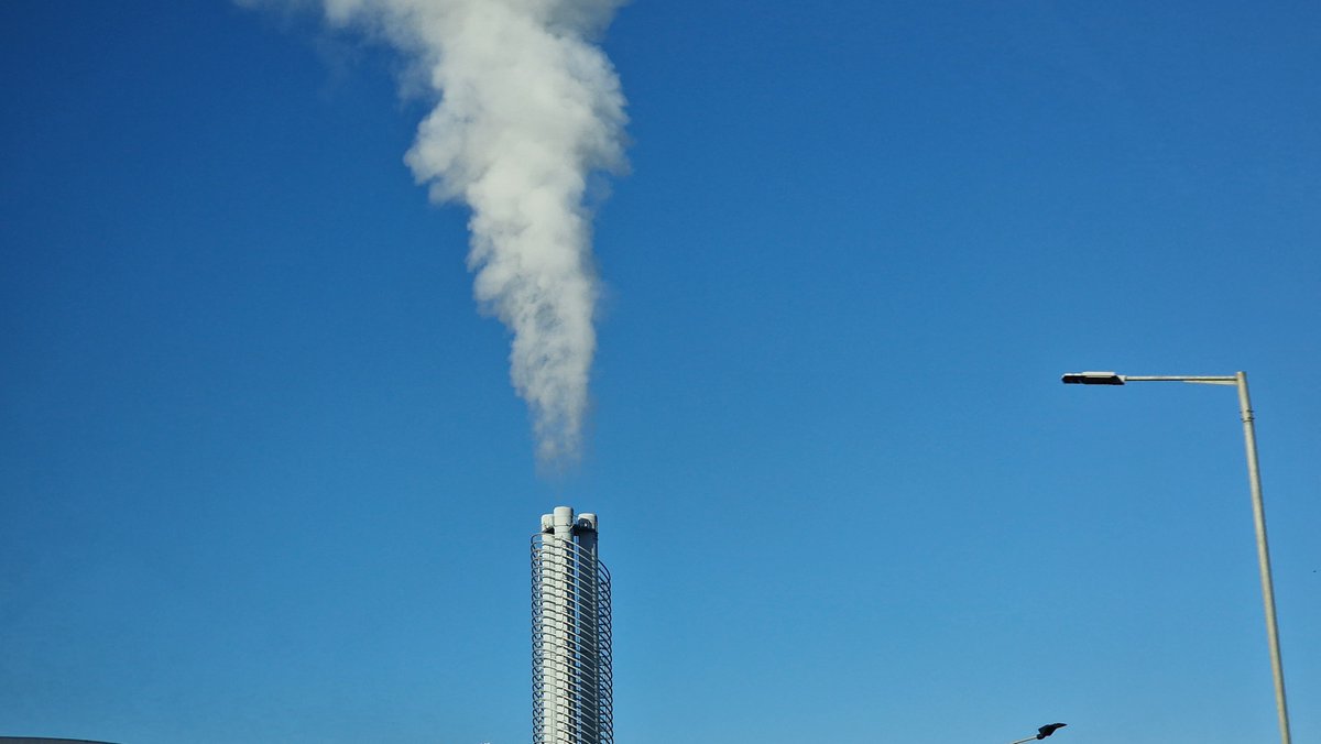 triple cheeseburger tweet media