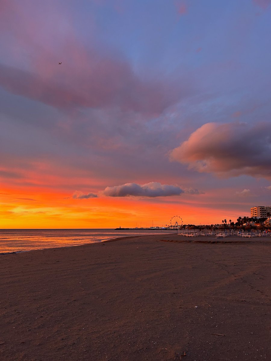 alexa on tour tweet media