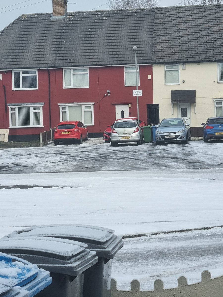 Lynn Mills tweet media