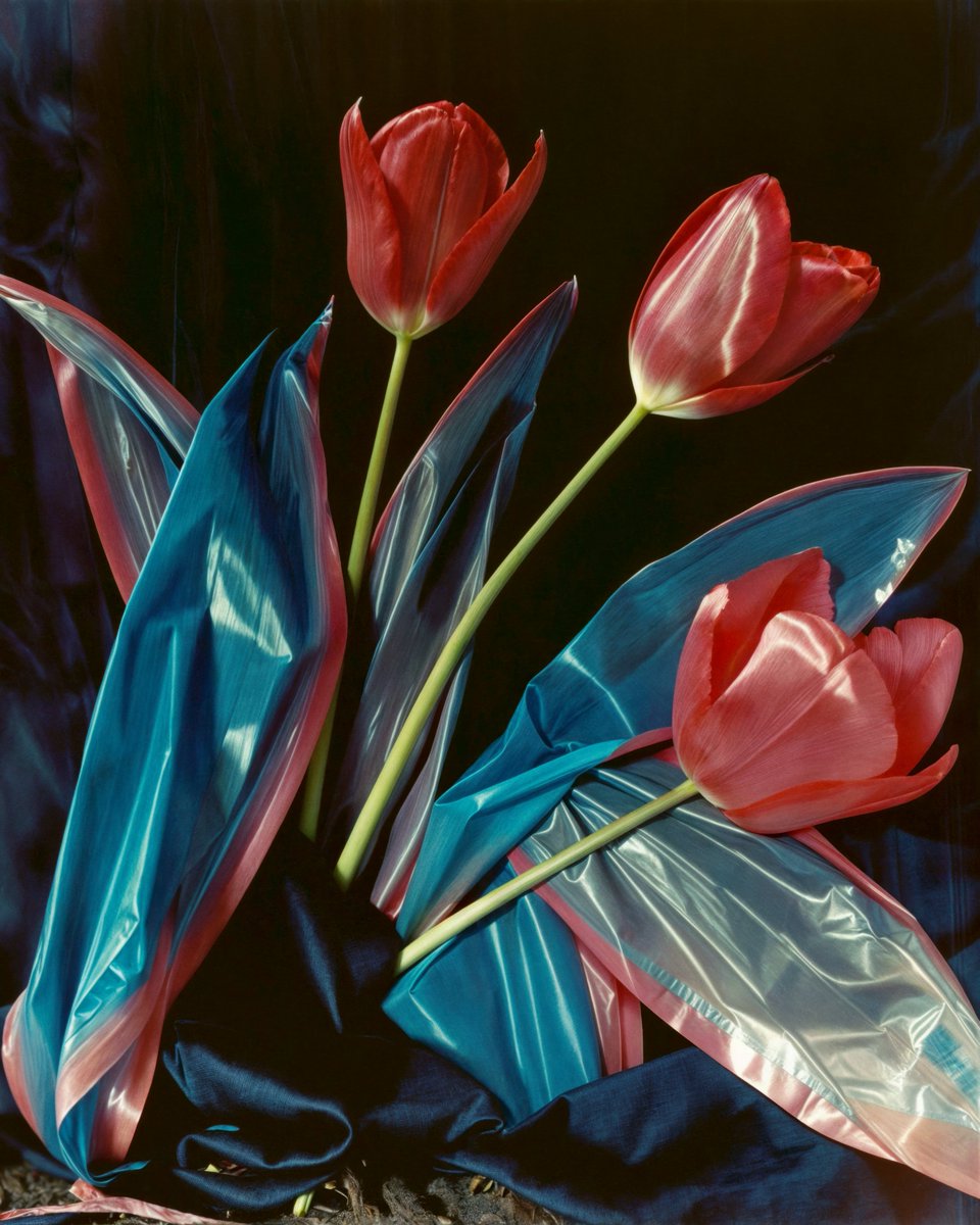 a1111ac011d0's tweet image. Color Code #80