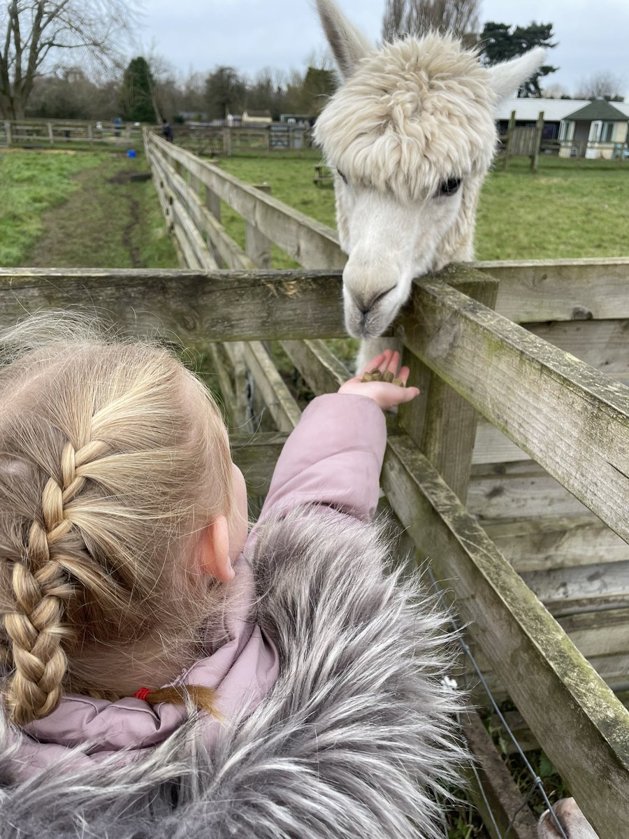 OGWL's tweet image. Visit to the goat centre