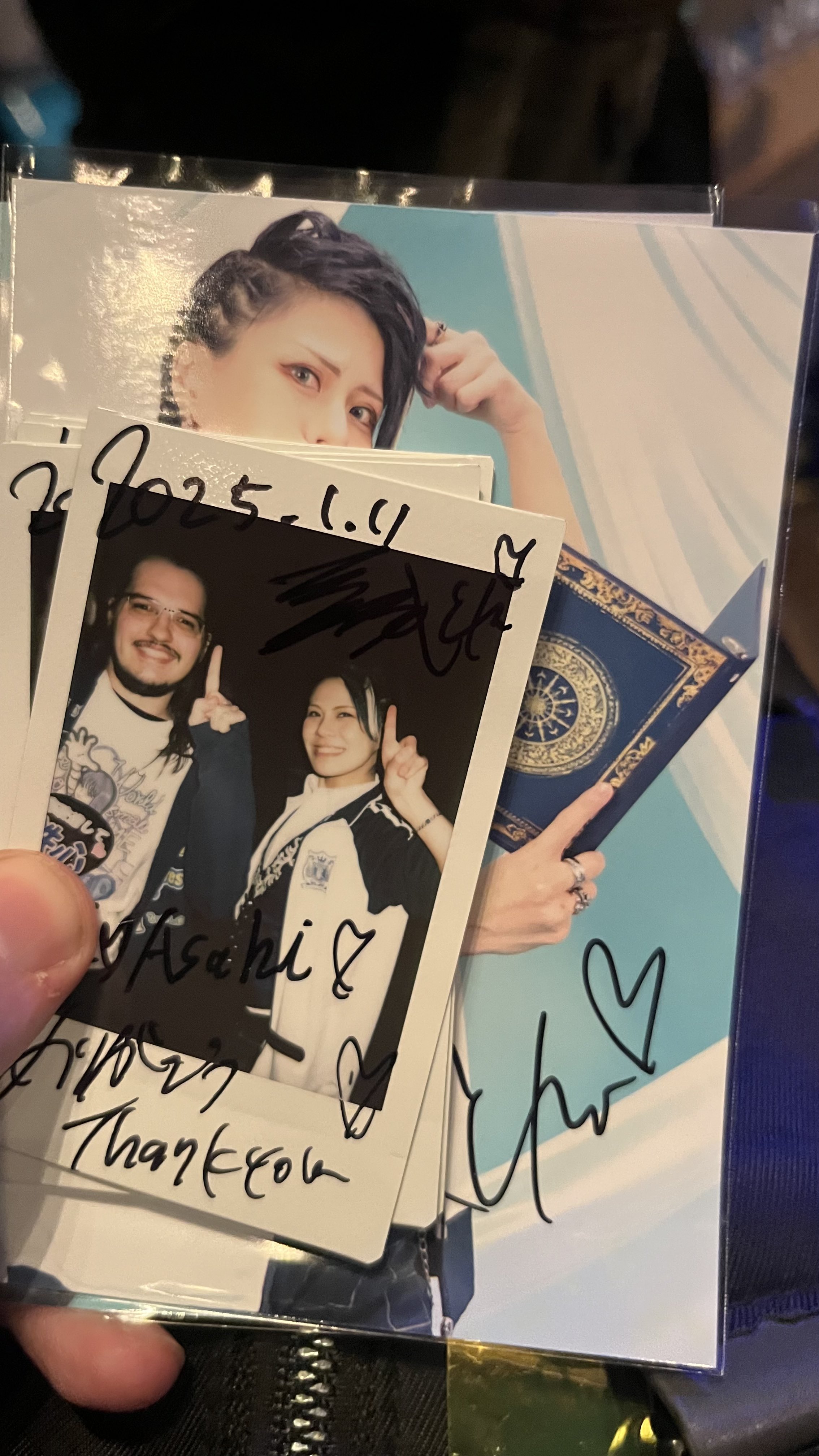 Alfie (アルフィ) #蓮燦 #SaisNest #あーちゃんまる
