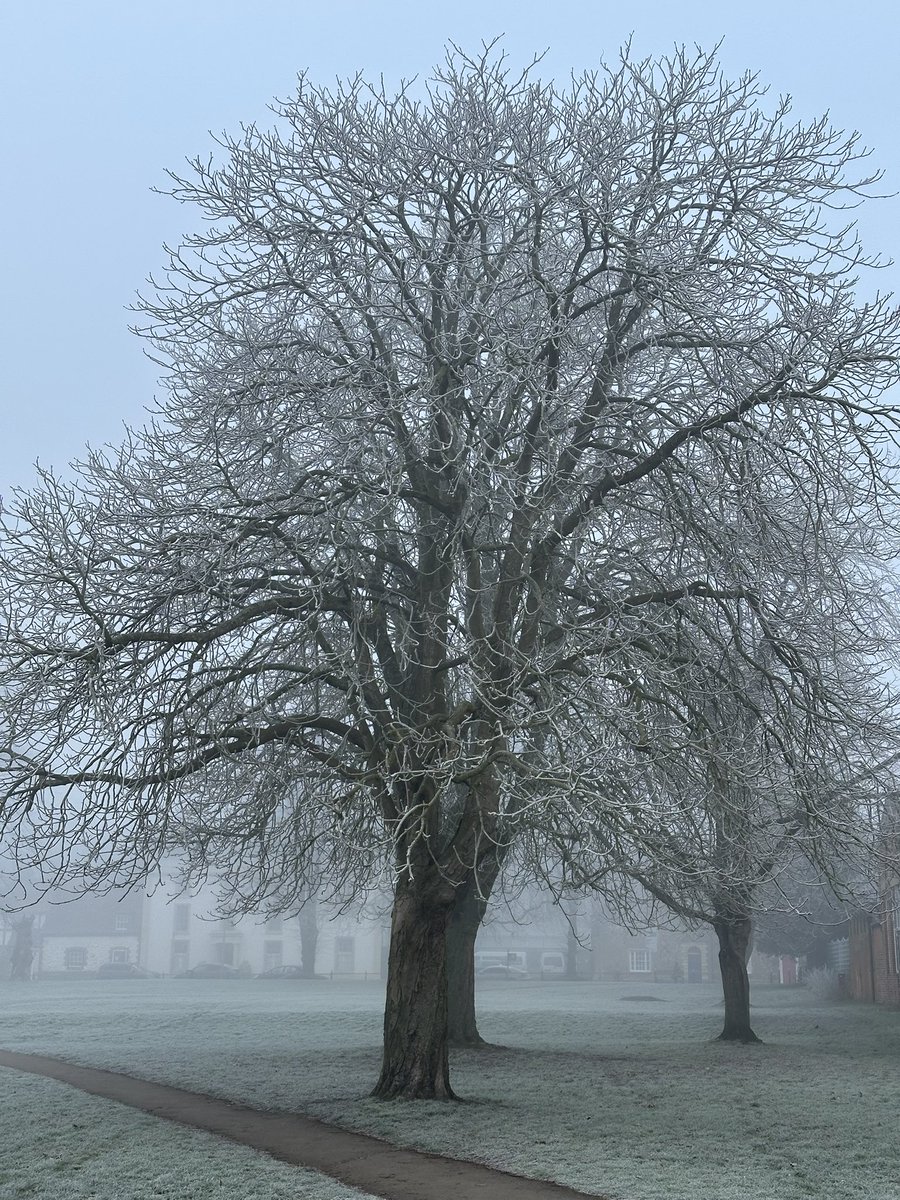 L_C_Millinery's tweet photo. A beautiful frosty and foggy walk to work morning.
Love a crisp chilly walk to work. ๐ฅถ
#walktowork #walk #chilly #frost #foggy #crispmornings #icy #chillyweather #chillywalk #beautiful #hatshop #wallingforduk #louiseclairemillinery https://t.co/X9p6Fv7vRA