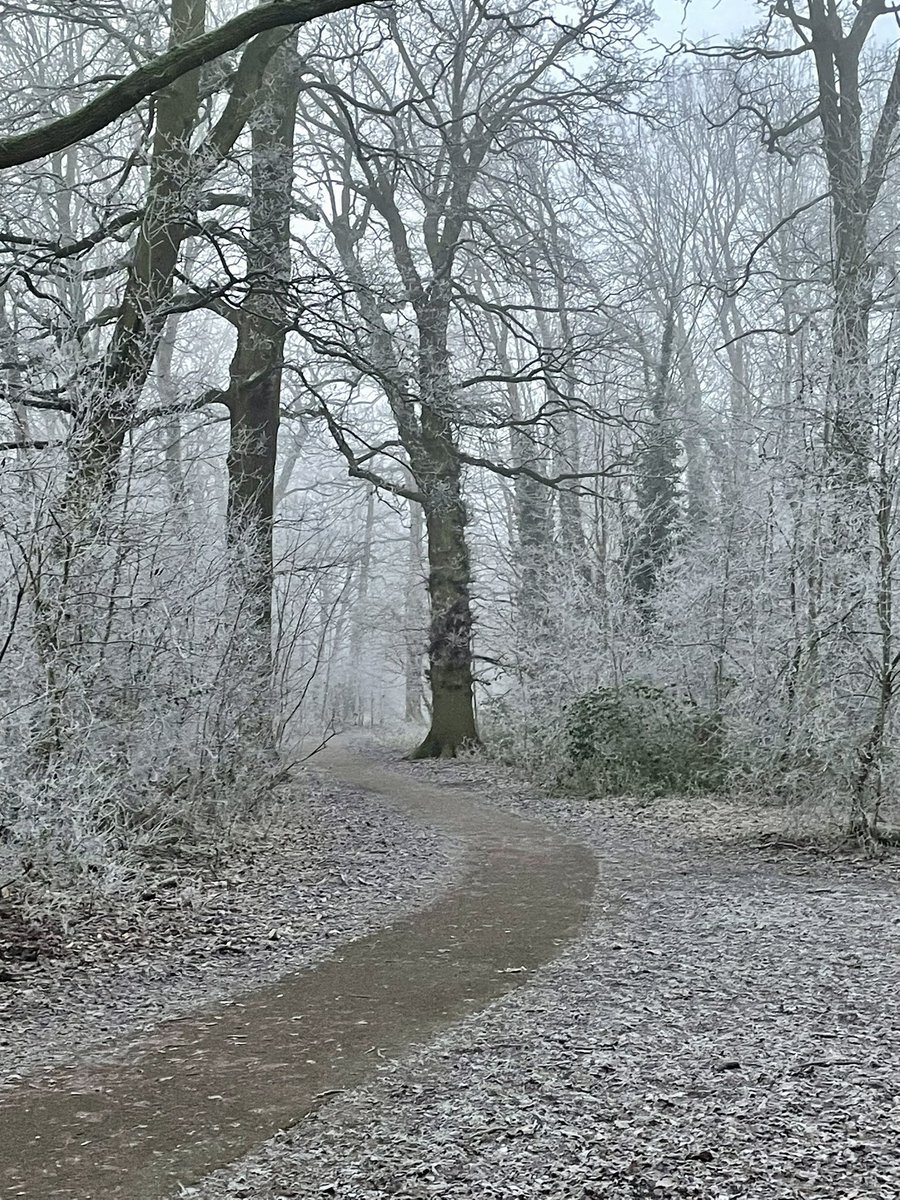 OGWL's tweet image. Cold one today