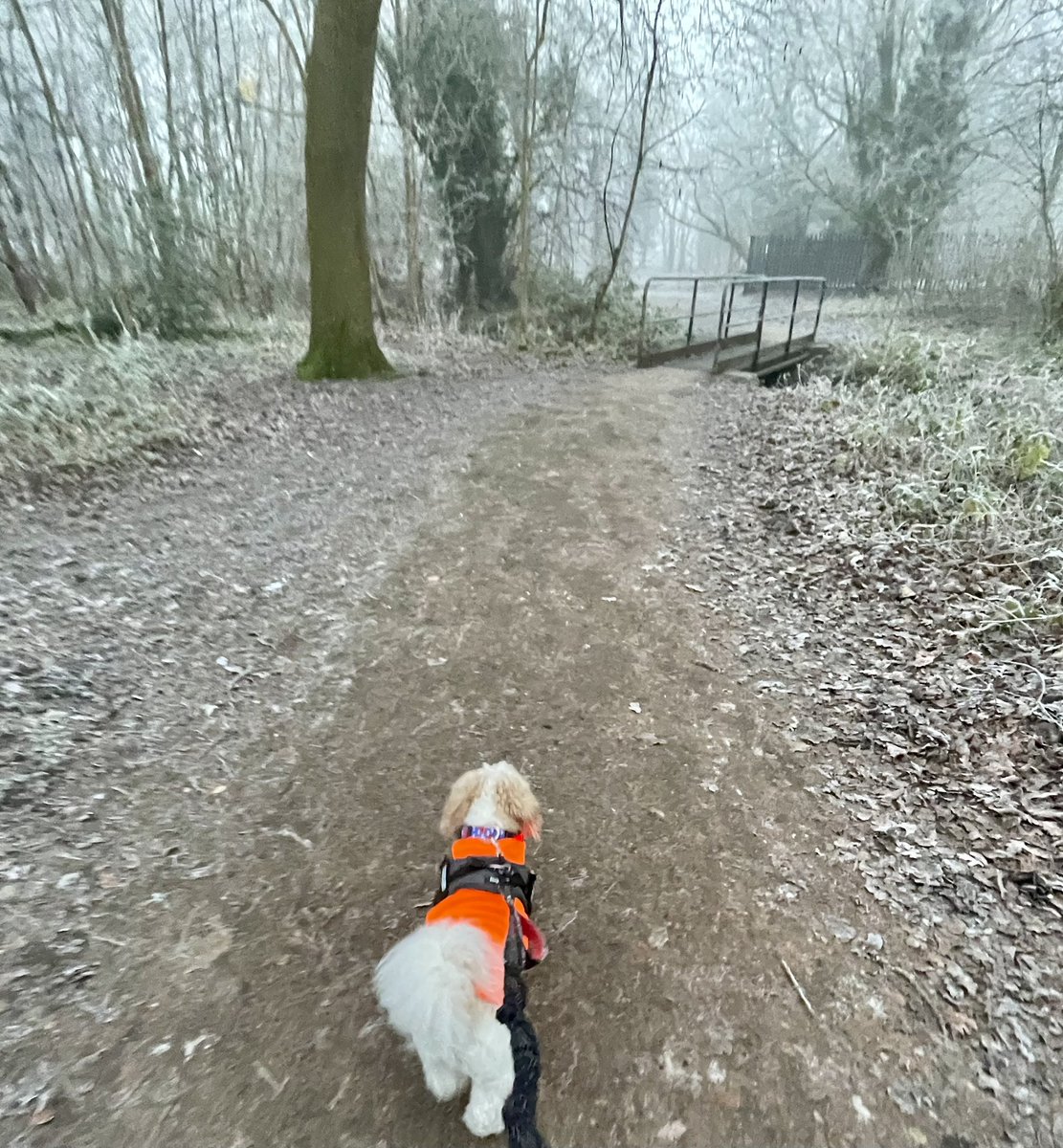 OGWL's tweet image. Cold one today