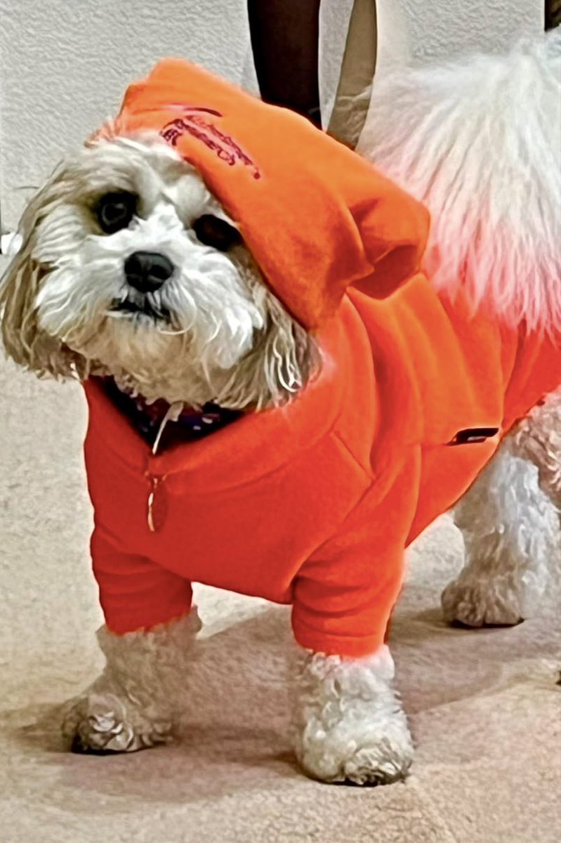 OGWL's tweet image. Cold one today