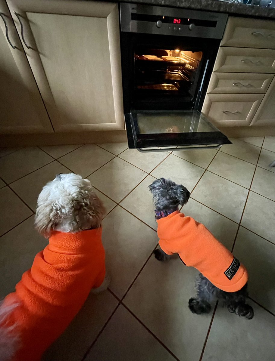 OGWL's tweet image. Waiting for breakfast to warm up