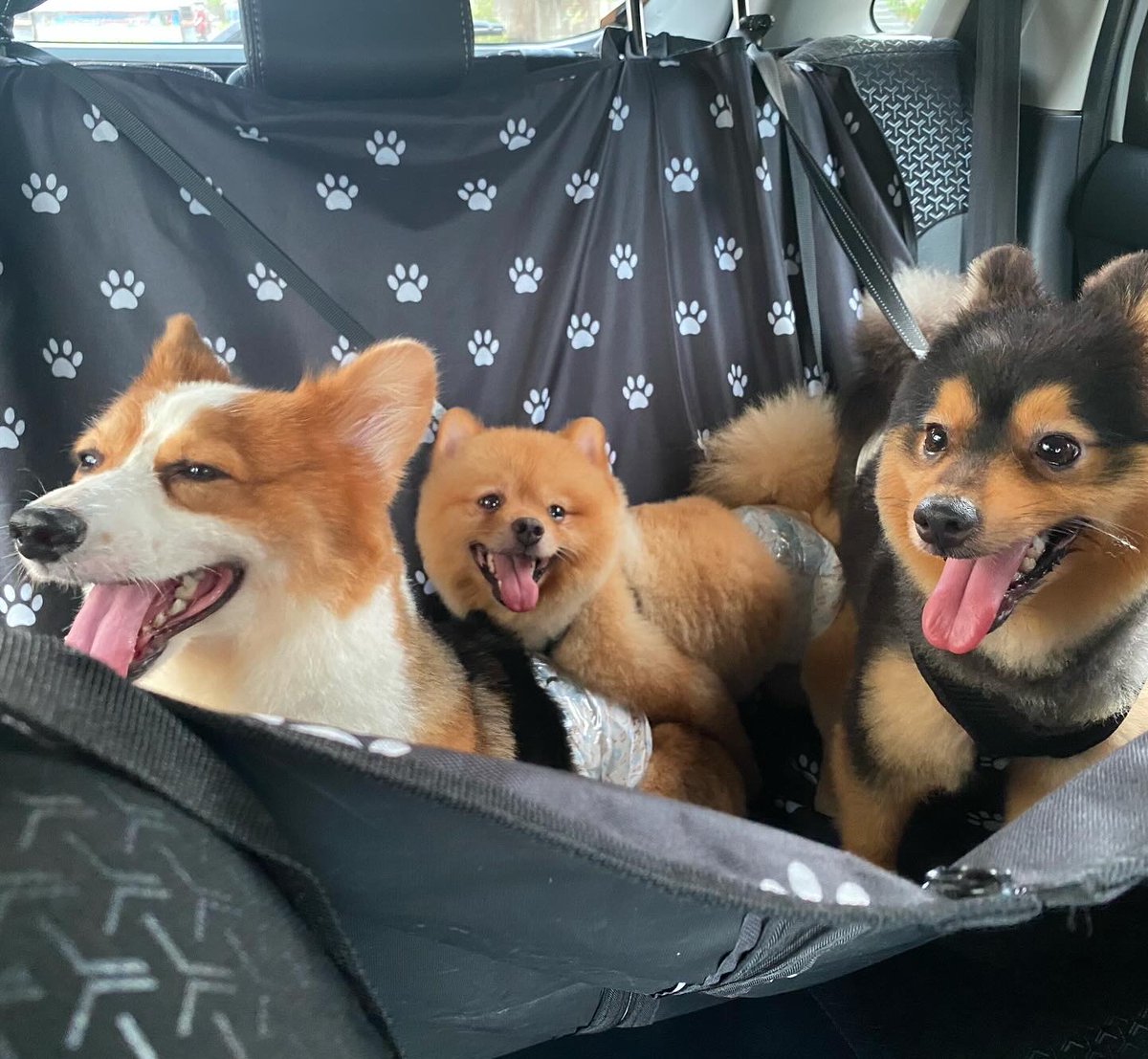 justbeyaaa's tweet photo. Kyotie passengers of Raerae 🤣 https://t.co/bh4Zqqi1f2