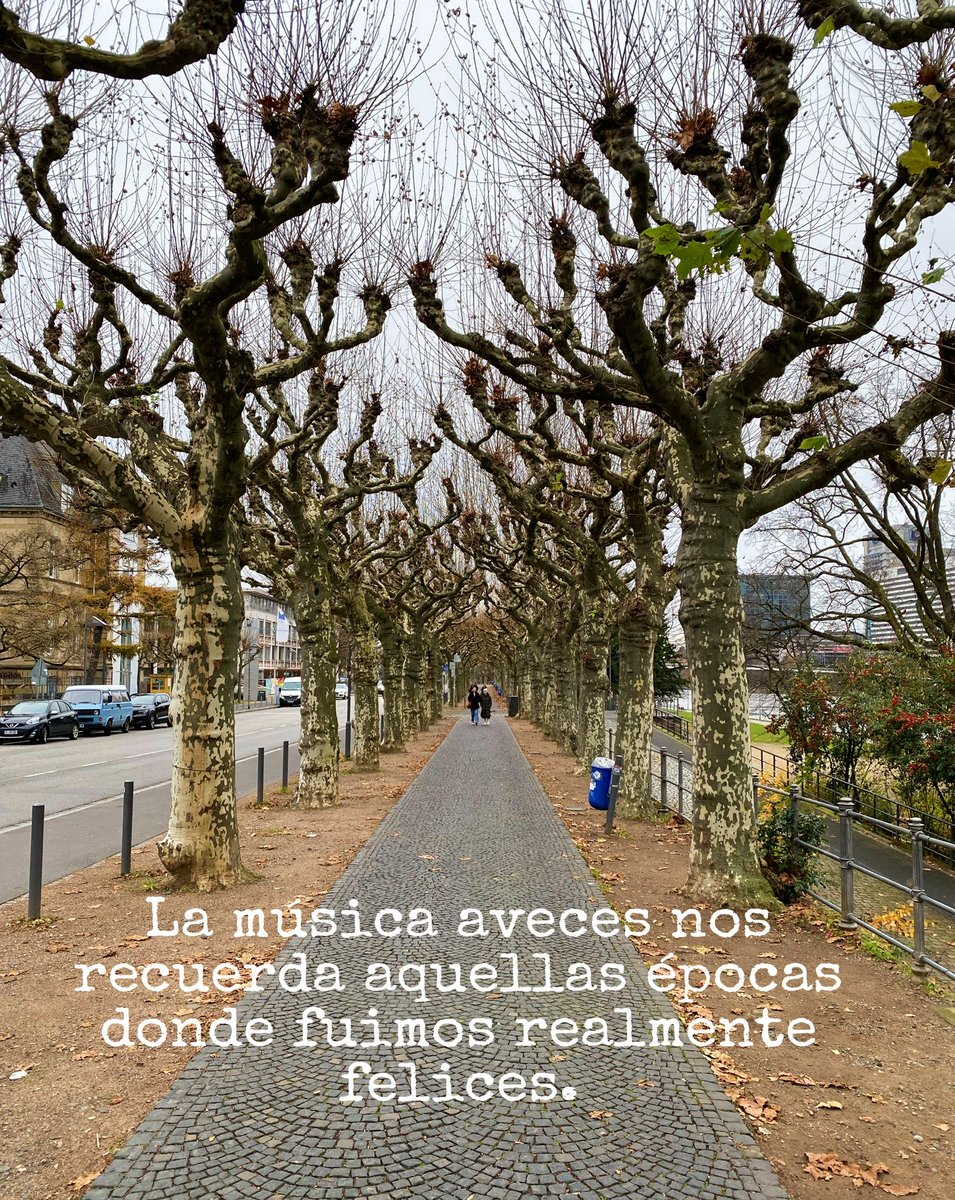 Contexto Vacío. tweet media