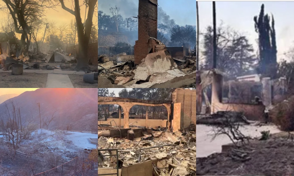 Animation Magazine tweet media