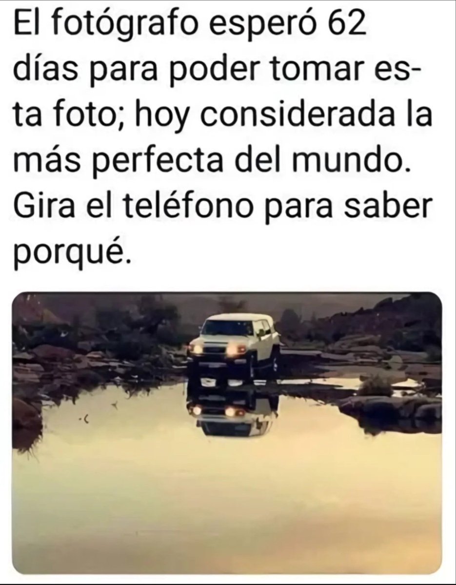 Belén tweet media