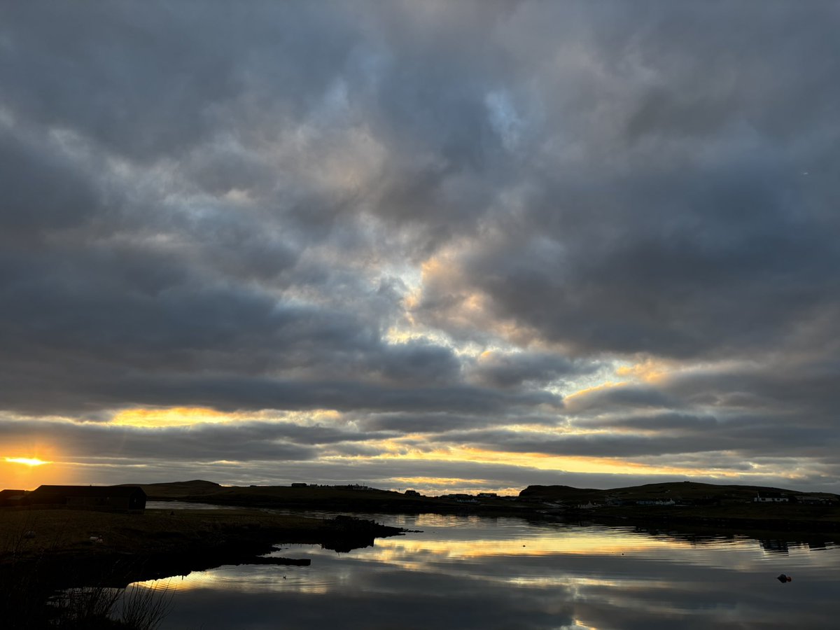 BurraBears's tweet photo. #shetland https://t.co/PD8fw3de0u