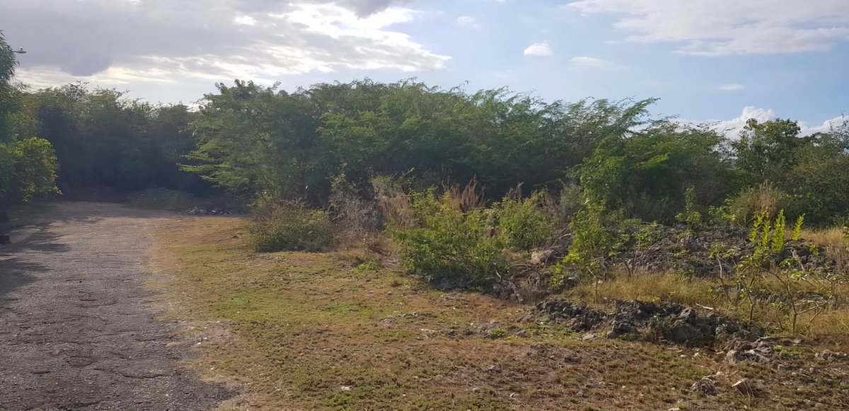 HeatherPinnock's tweet photo. FOR SALE: 12 acres of residential development land in West Montague Heights, St. Catherine with mountain and city views.
Details: https://t.co/acP1v025kz
@bhgrejamaica DL-1081 #Jamaica #TeamLucea 🇯🇲 https://t.co/wH4tQ0pkUl