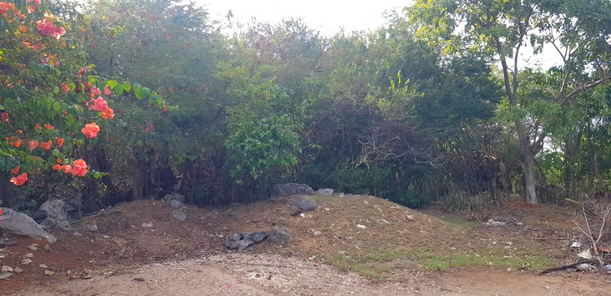 HeatherPinnock's tweet photo. FOR SALE: 12 acres of residential development land in West Montague Heights, St. Catherine with mountain and city views.
Details: https://t.co/acP1v025kz
@bhgrejamaica DL-1081 #Jamaica #TeamLucea 🇯🇲 https://t.co/wH4tQ0pkUl