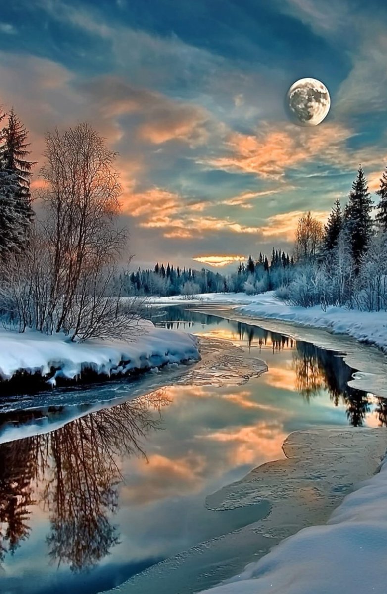 ili_naturelover's tweet photo. Peaceful evening ✨ everyone https://t.co/AFnaBLIww4